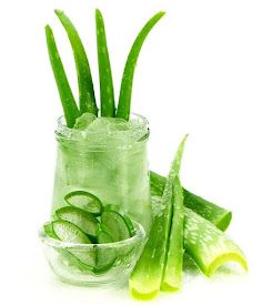 Gel d’Aloe Vera Naturel
